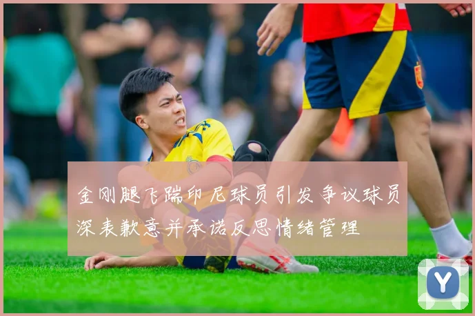 金刚腿飞踹印尼球员引发争议球员深表歉意并承诺反思情绪管理