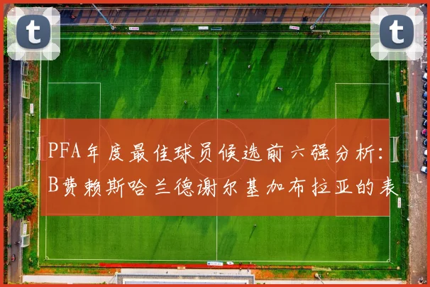 PFA年度最佳球员候选前六强分析：B费赖斯哈兰德谢尔基加布拉亚的表现对比